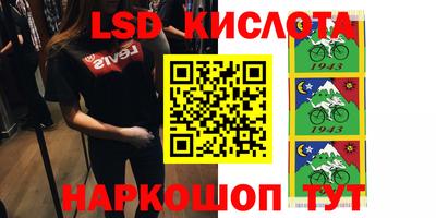 крисы Моздок
