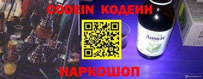 крисы Моздок