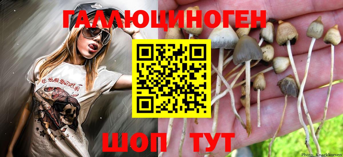 Галлюциногенные грибы Magic Shrooms  Вход с VPN  Урус-Мартан 
